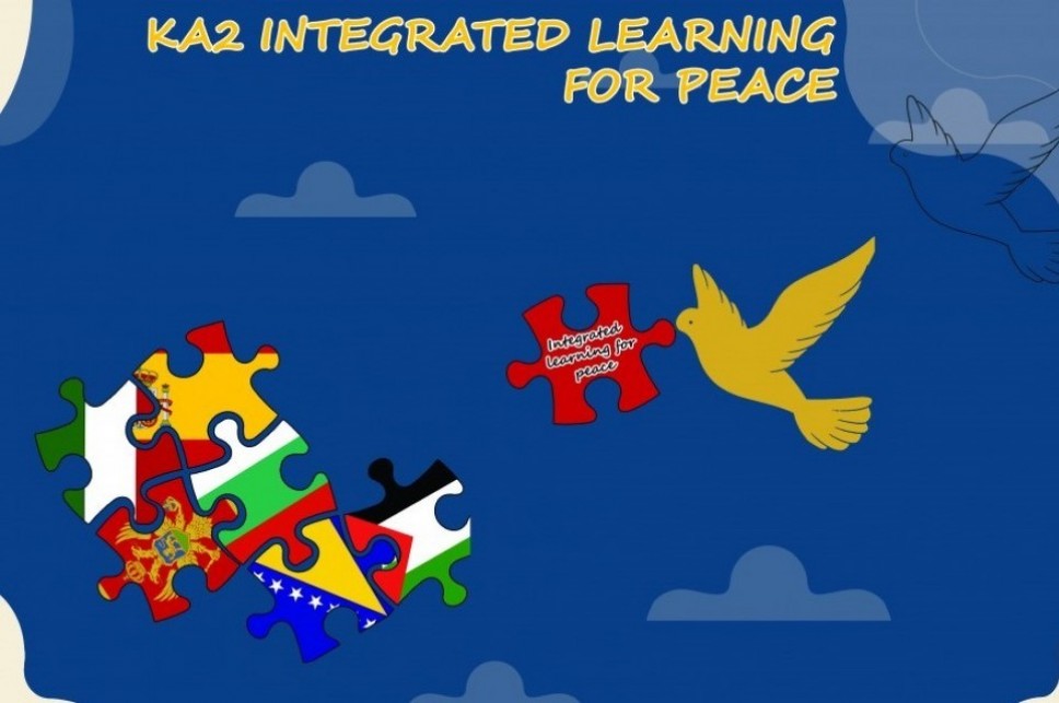 Online Course for the Young in the Peace Building Field  