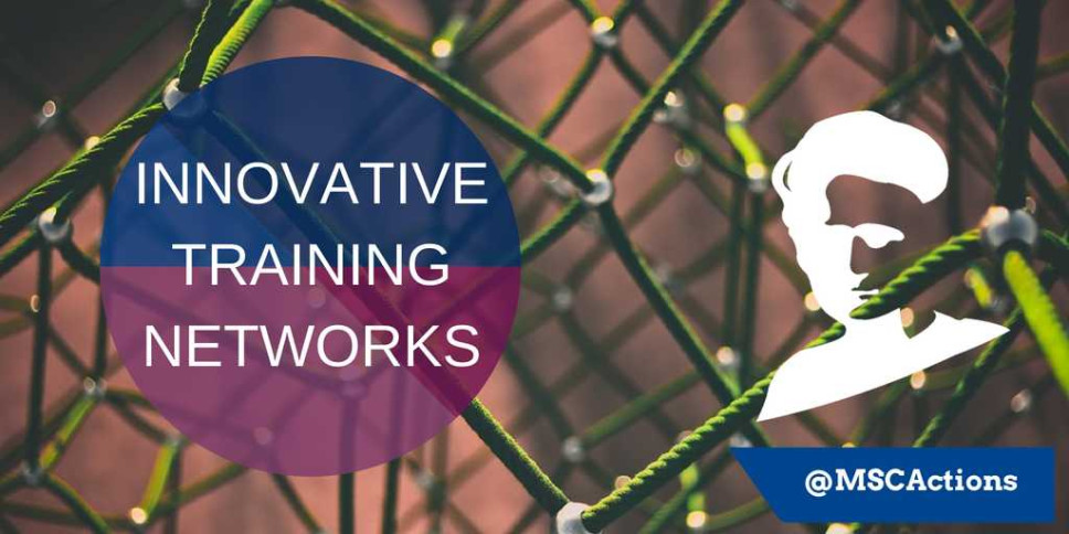Eleven post doctoral positions available within the MSCA ITN project "TOBeATPAIN"