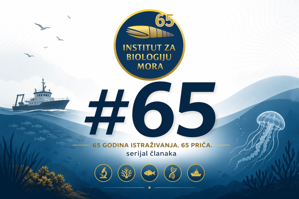 Nauka, more i mladi - #21/65