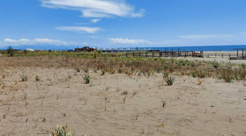 Restored Sand Dunes within the Project WELCOME 