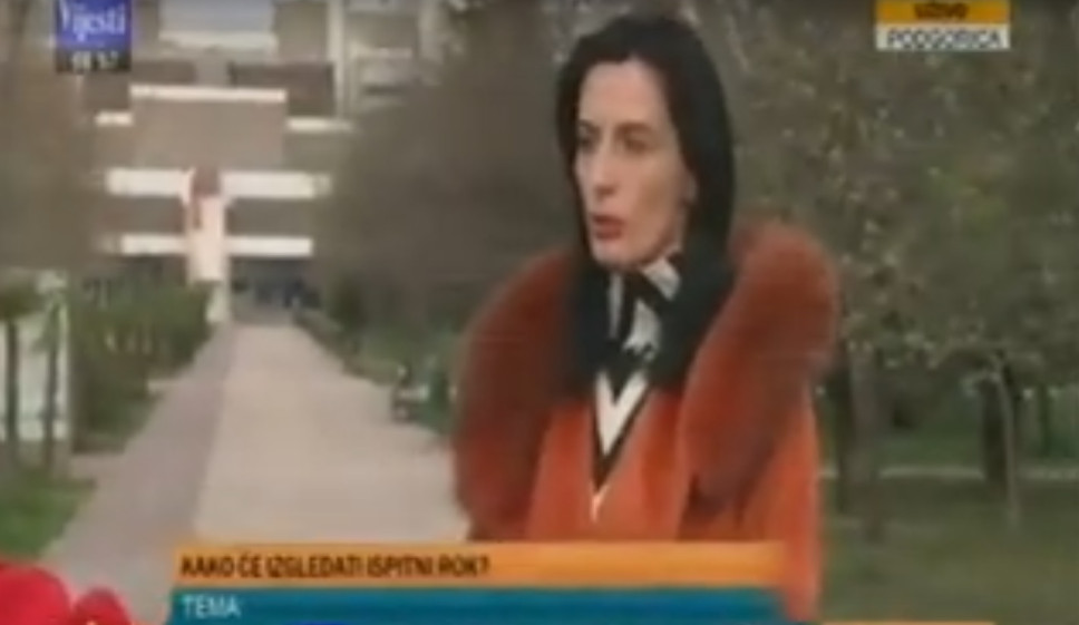  Prodekanica Svetlana Perović za TV Vijesti: Onlajn nastava na Arhitektonskom fakultetu UCG