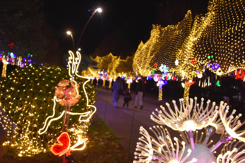 Praznični muzički program u univerzitetskom kampusu 8. januara: Karaoke za najmlađe