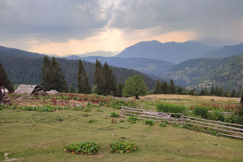 Support Agro Forestry through Project Activity of the University of Montenegro  