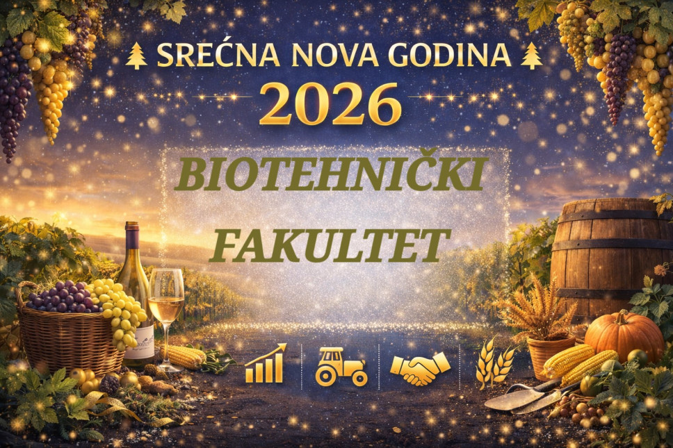 Novogodišnja čestitka