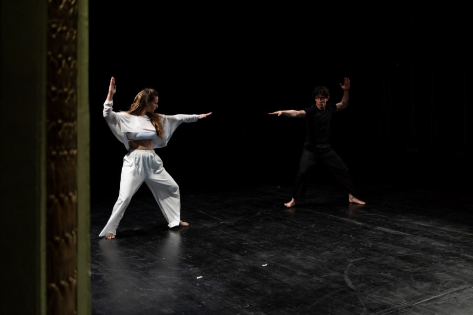 FUNK Festival: Choreodrama "Jovana Lukina" tomorrow evening in the lobby of the Technical Faculties
