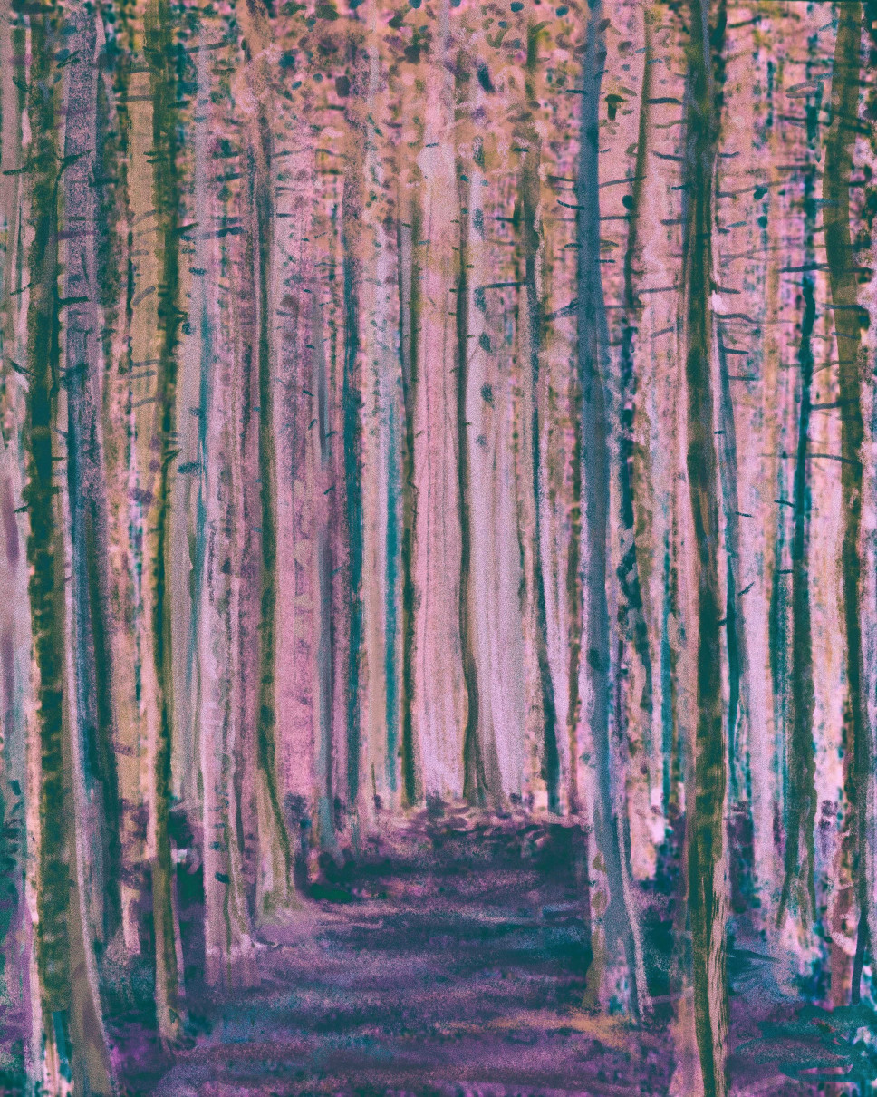 Works by student Edin Ćeranić, a virtual exhibition