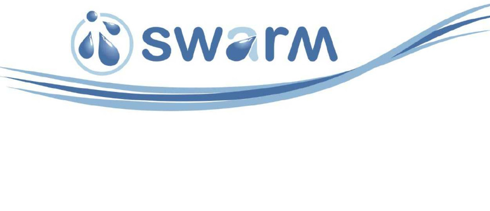 Erasmus projekat - SWARM