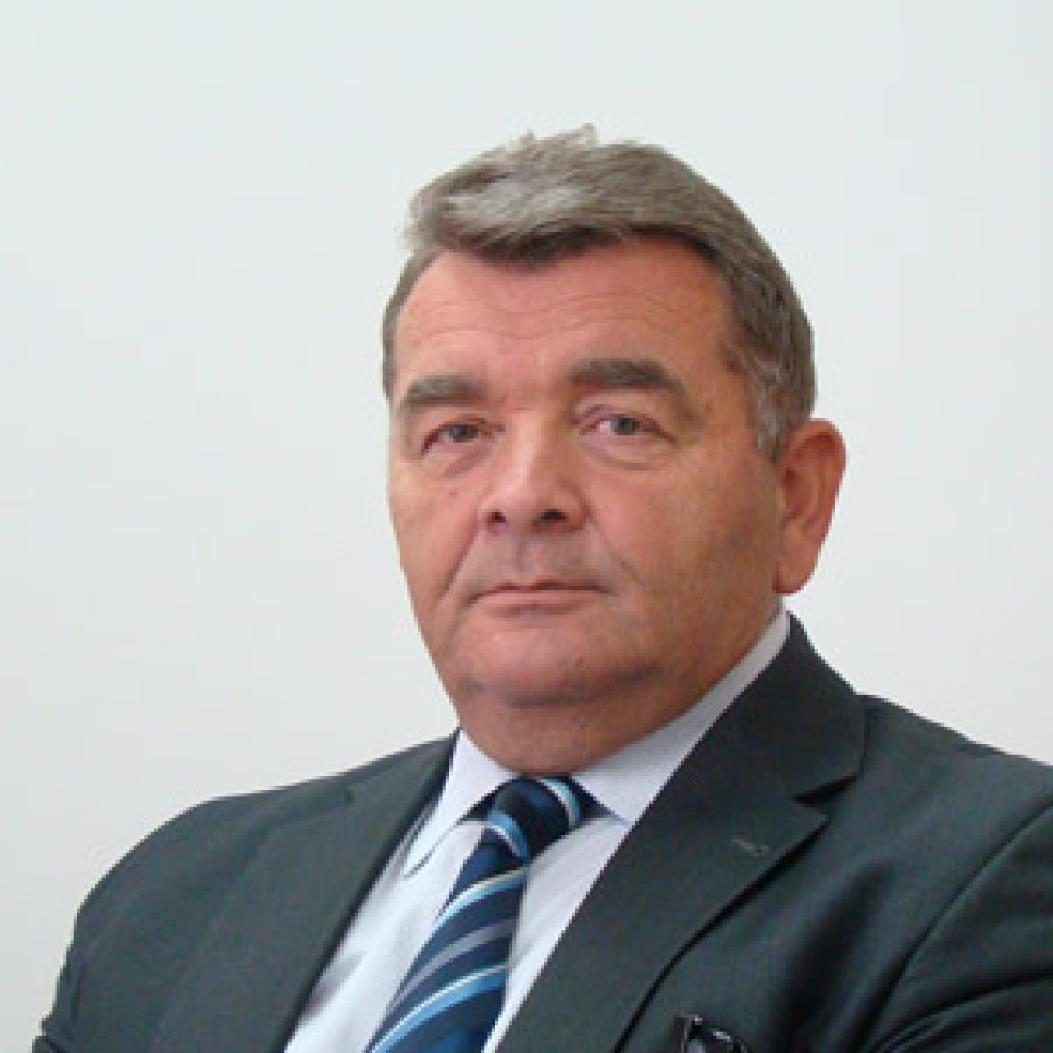 Biografija - Dubljević Radisav