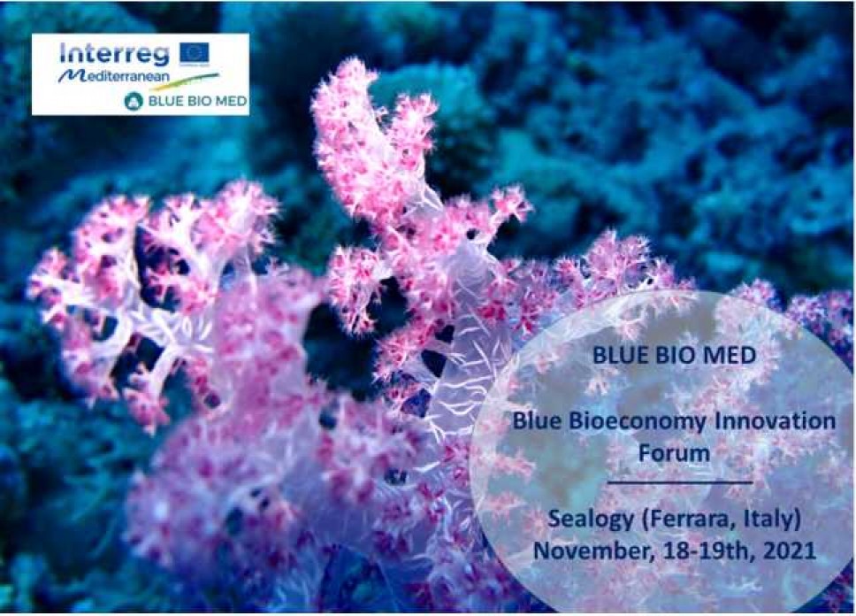 Blue Bioeconomy Innovation Forum – 18-19.11.2021