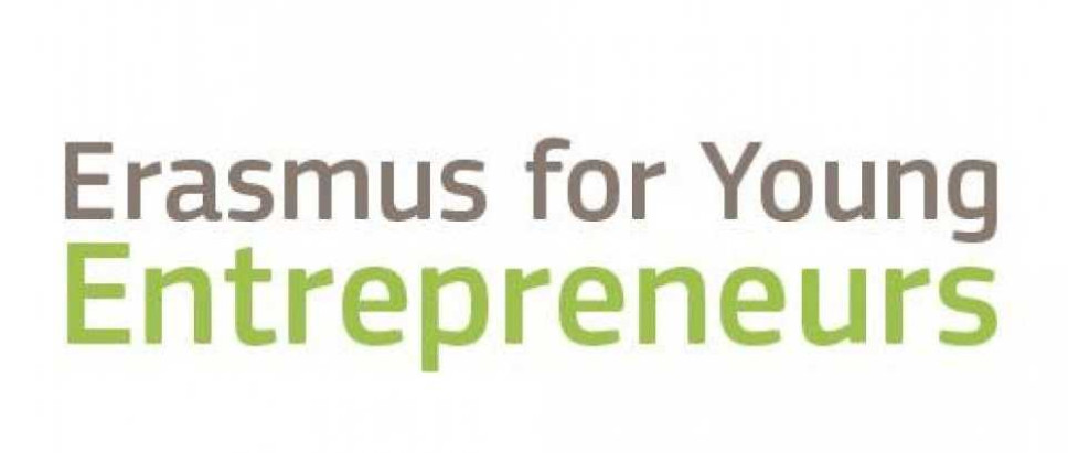 European exchange programme for entrepreneurships 