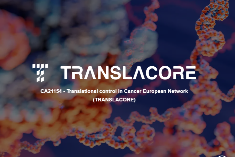 Sastanak Upravnog odbora i radnih grupa <span class="CyrLatIgnore">COST</span> projekta <span class="CyrLatIgnore">TRANSLACORE</span> na Univerzitetu Crne Gore