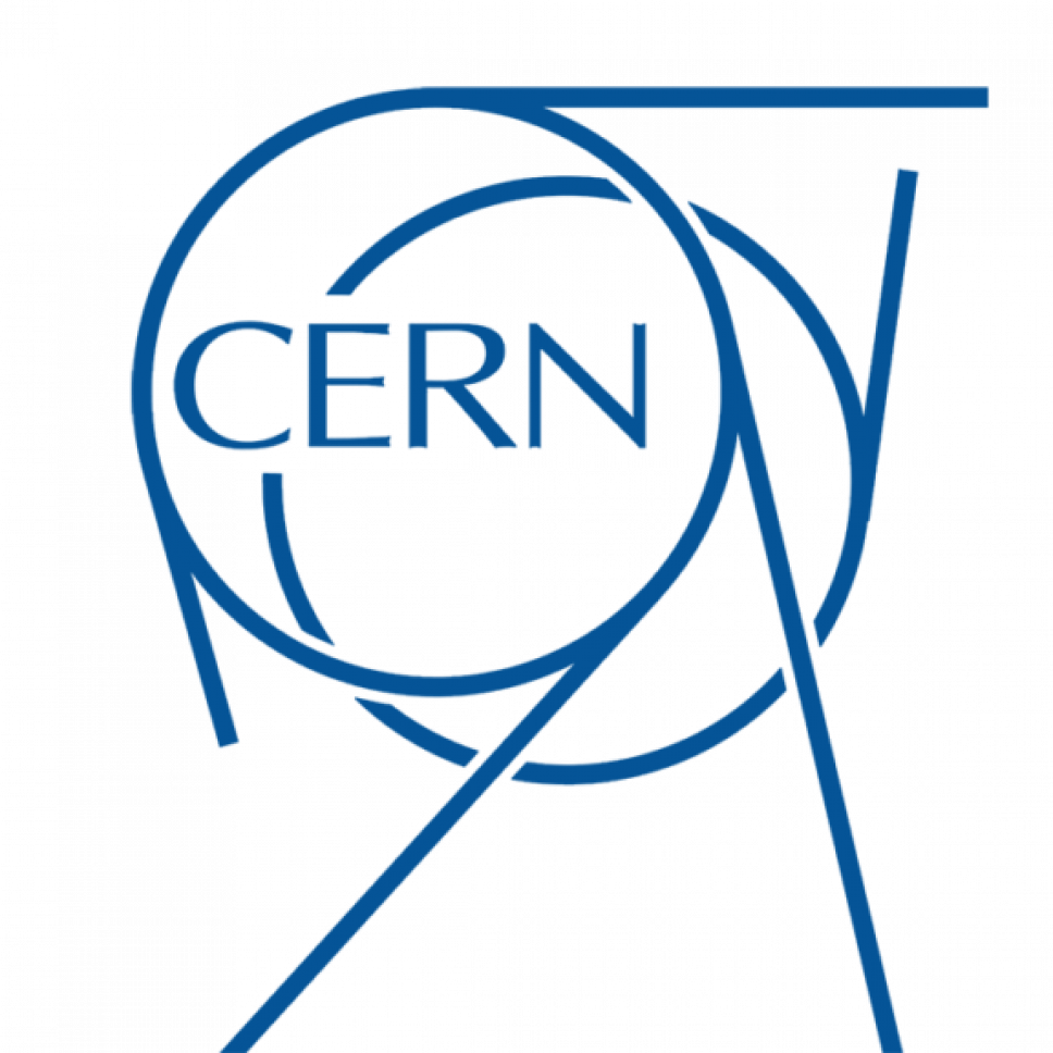 Short Term Internship 2021 at CERN