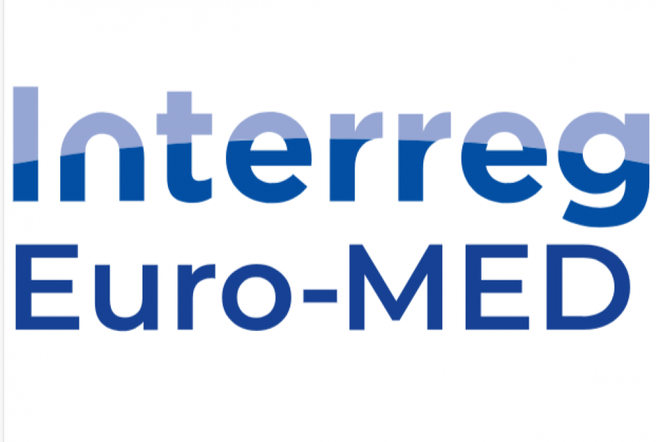 Info day related to 4th call for submission of thematic project proposals under the Interreg Euro-MED programme