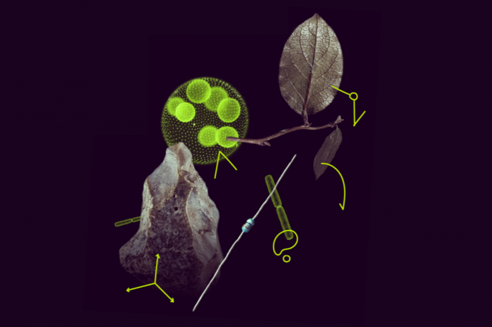 Objavljen poziv za <span class="CyrLatIgnore">MSCA</span> postdoktorske stipendije za 2026. godinu uz budžet od 399 miliona eura
