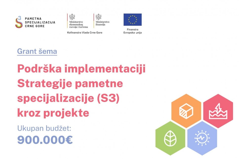 Grants allocation to support the implementation of the Smart Specialization Strategy (S3) through projects