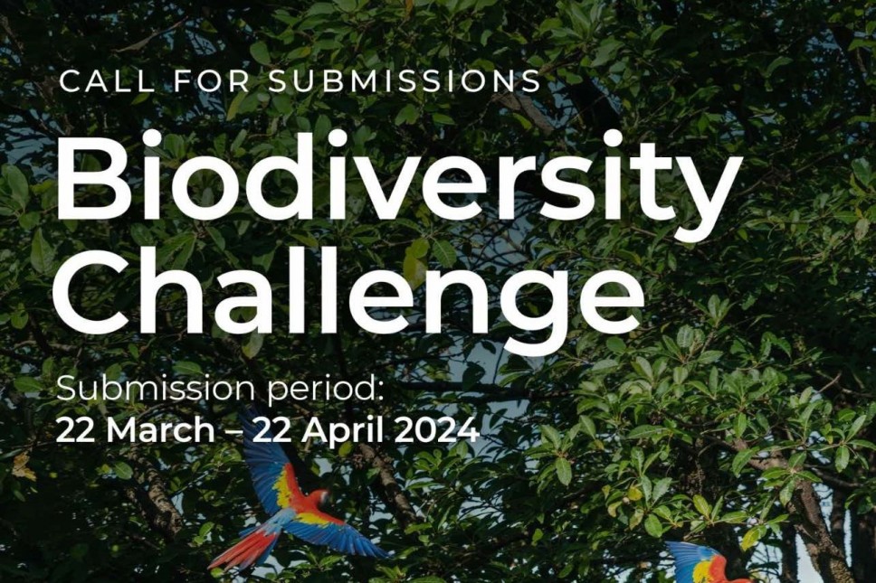 The Calls for innovative ecopreneurial solutions submission: UpLink Innovation Ecosystem Biodiversity Challenge 