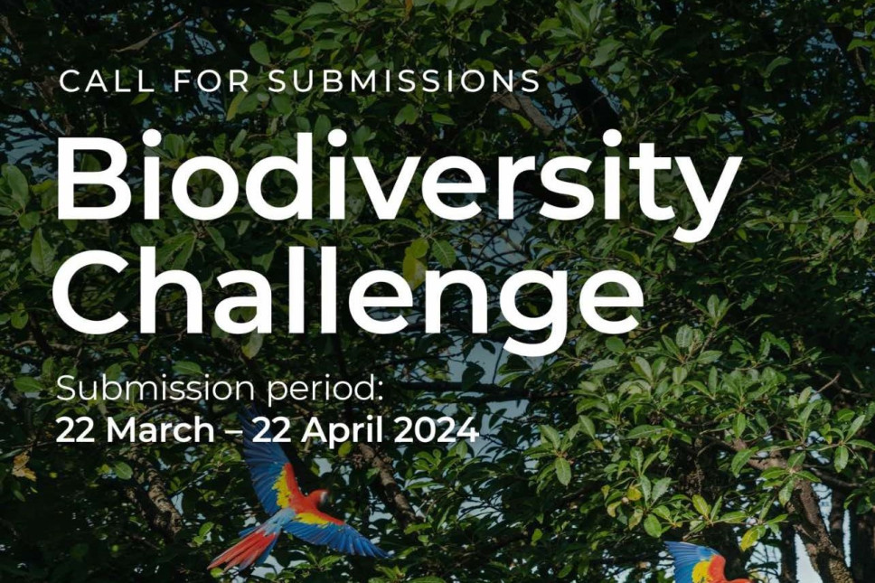 The Calls for innovative ecopreneurial solutions submission: UpLink Innovation Ecosystem Biodiversity Challenge 