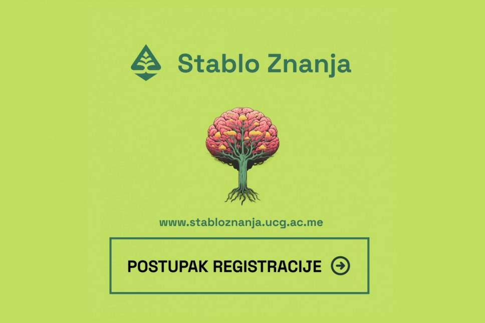 Registration procedure: Knowledge Tree Platform