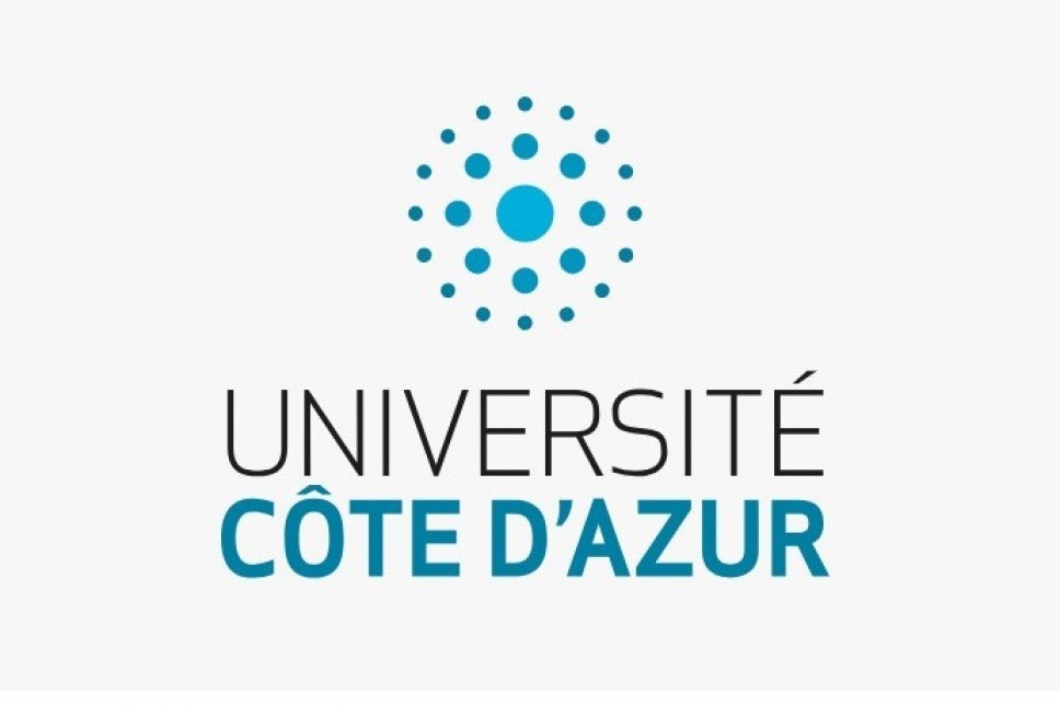 The University of the Côte dAzur in Nice needs experts in all fields to evaluate candidate applications within the IdEx research programs