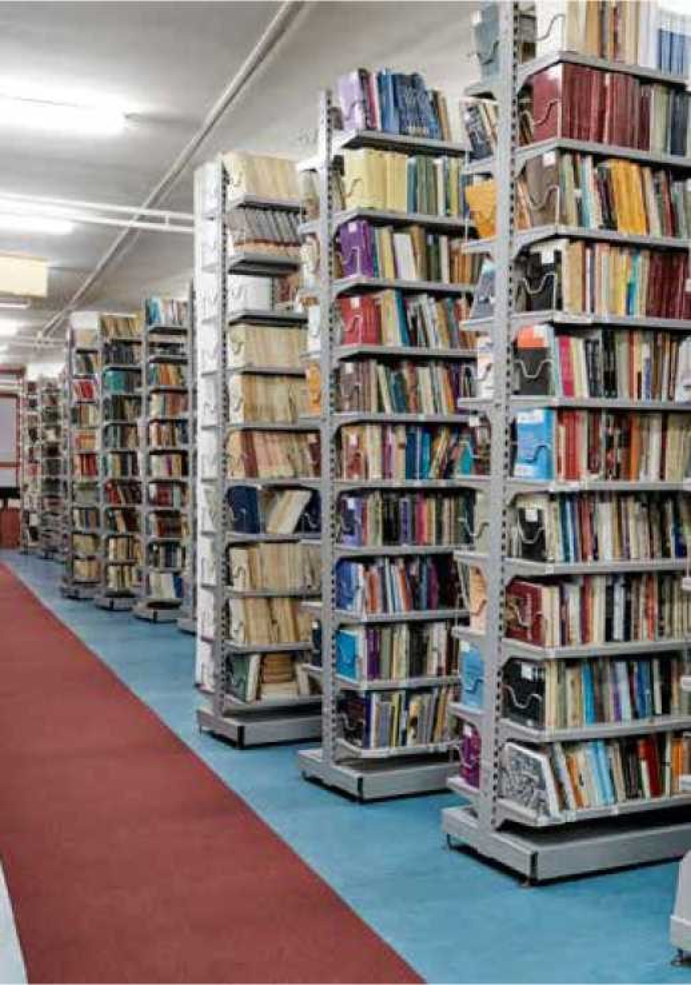 Biblioteka