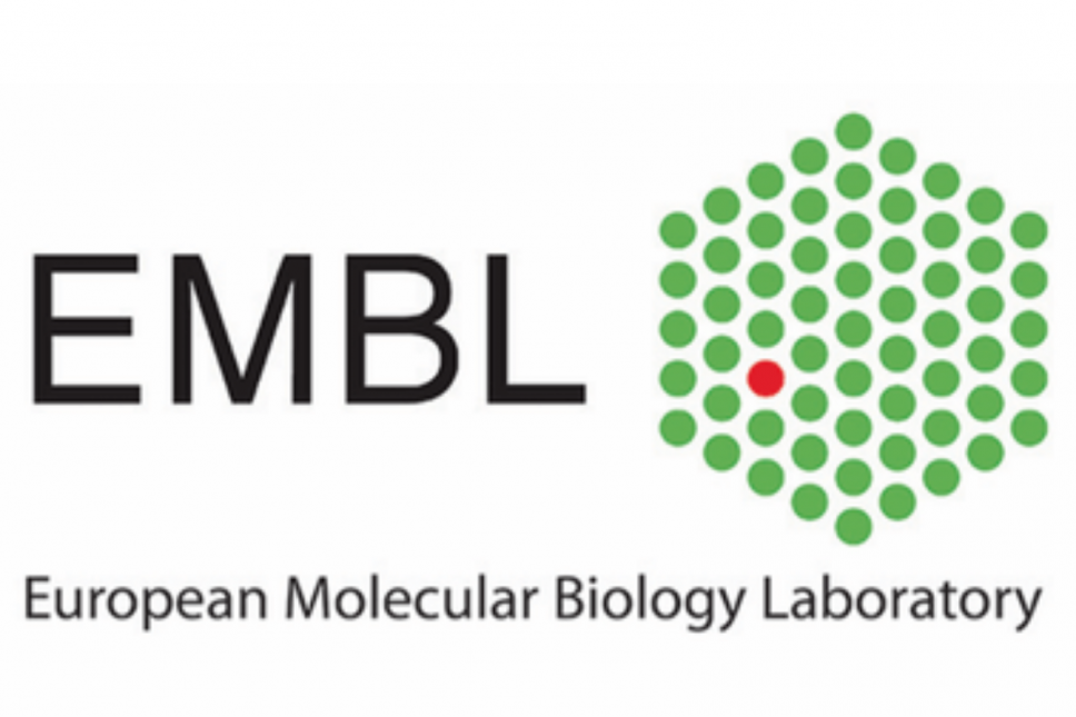 Evropska laboratorija za molekularnu biologiju (EMBL) objavljuje program stipendija ARISE