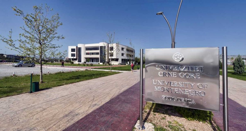 Značajno pozicioniranje Univerziteta Crne Gore u rangiranju svjetskih univerziteta po najboljim Google Scholar profilima