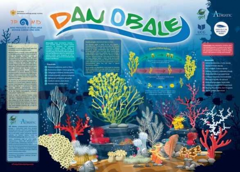 Obilježavanje Mediteranskog dana obale 2020 – poster o koralnim zajednicama