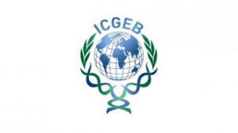 ICGEB objavio novi poziv za stipendije za doktorska i postdoktorska istraživanja