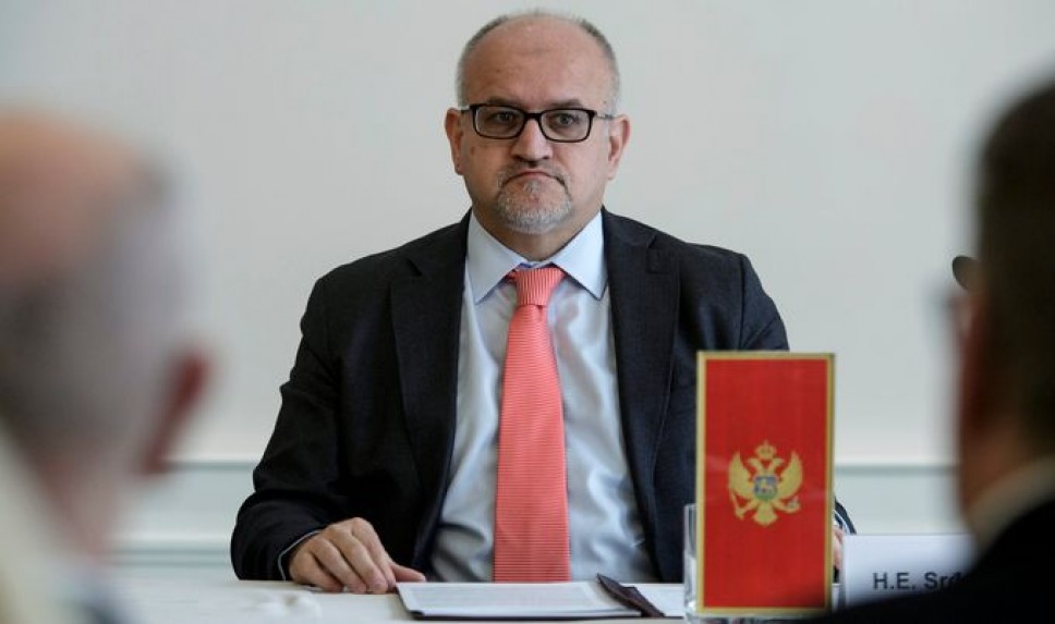 Prof. dr Srđan Darmanović - curriculum vitae