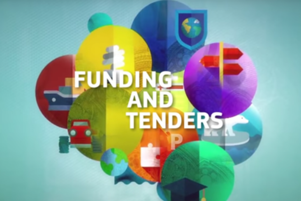 Pretraga aktuelnih projektnih poziva na portalu EU Funding & Tenders